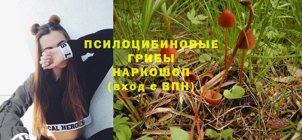 гашик Баксан