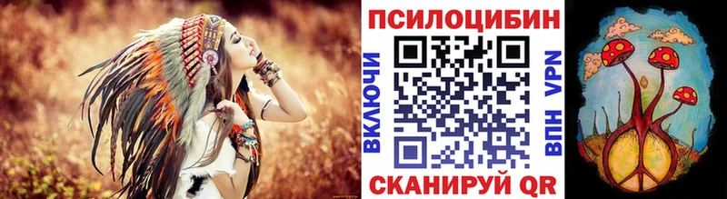 МЕГА вход  купить наркоту  Куйбышев  Псилоцибиновые грибы Psilocybine cubensis 